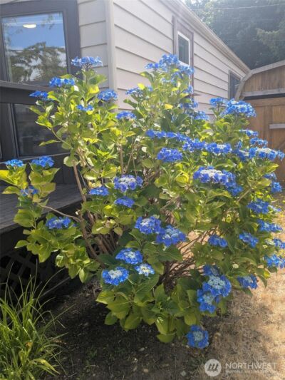 1506 Shuksan Dr , Camano Island, WA 98282 - Photo 14