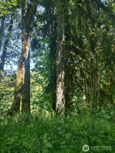 0 Glass Road , Port Angeles, WA 97207 - Photo 2