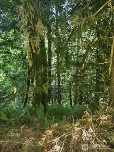 0 Glass Road , Port Angeles, WA 97207 - Photo 3