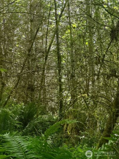 0 Glass Road , Port Angeles, WA 97207 - Photo 5