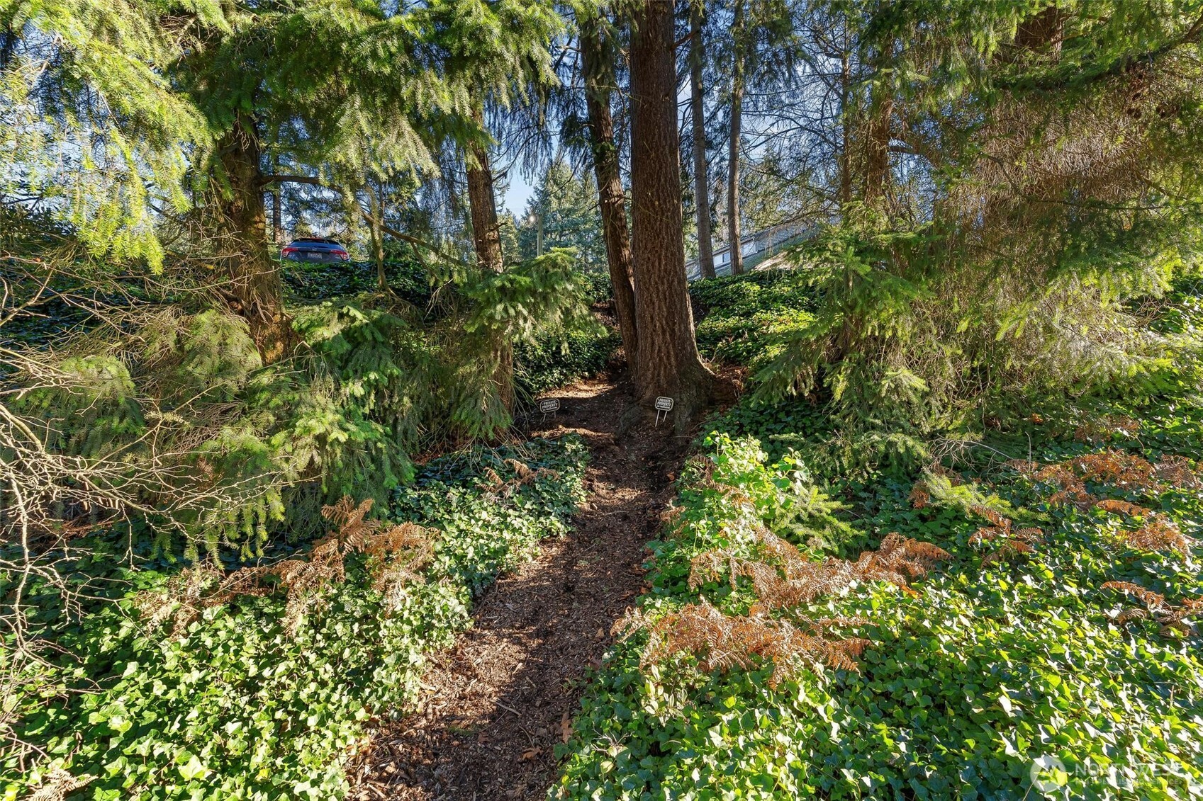 3905 108th Avenue NE #B102, Bellevue, WA 98004