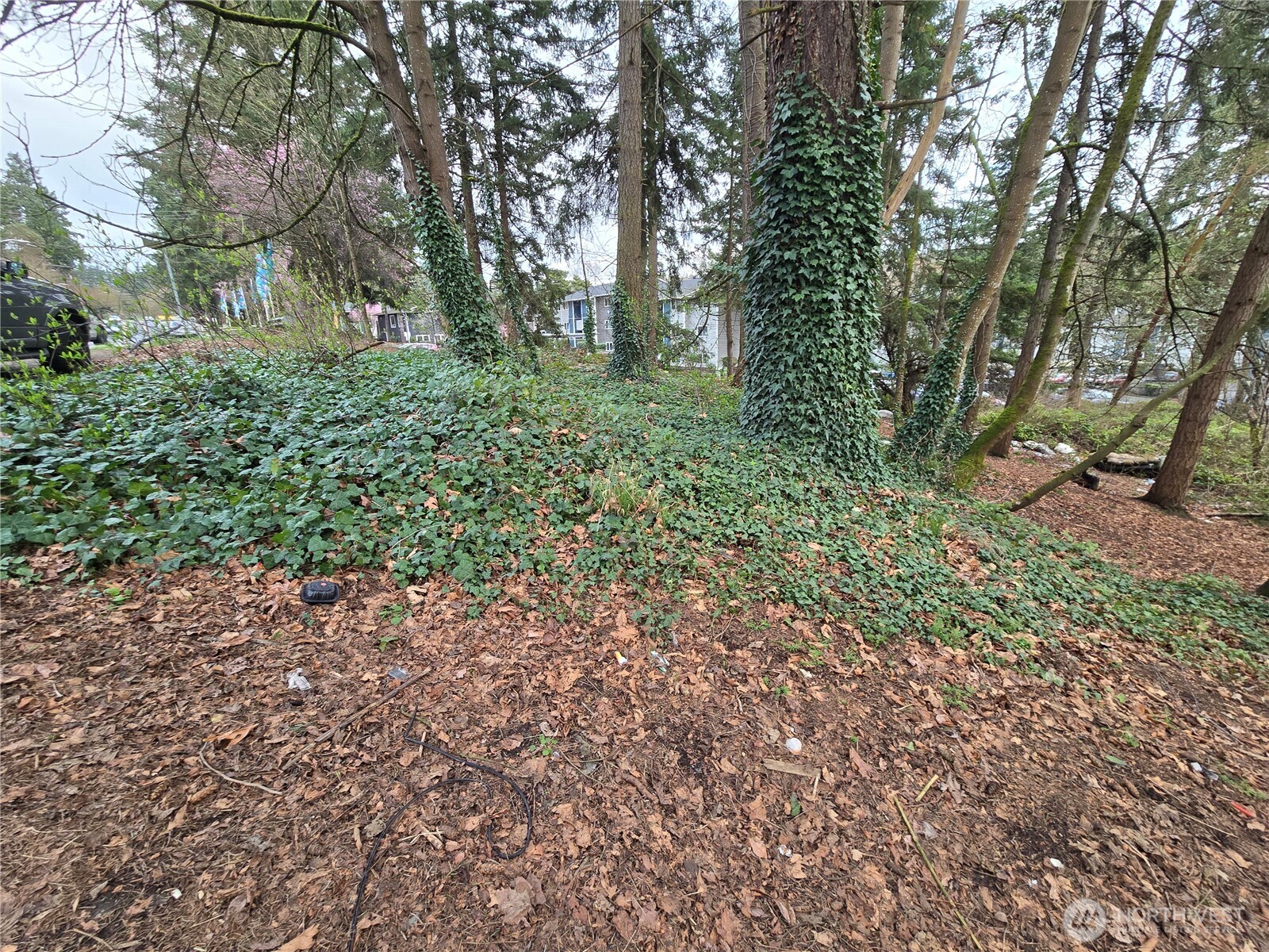 25 xxx S 260th Street , Kent, WA 98032