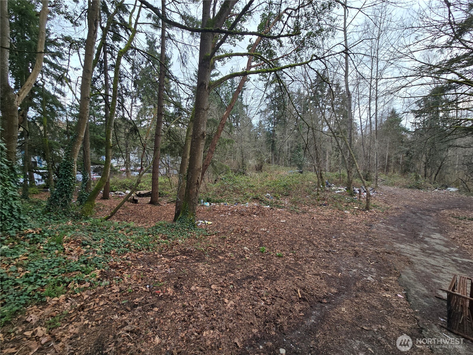 25 xxx S 260th Street , Kent, WA 98032