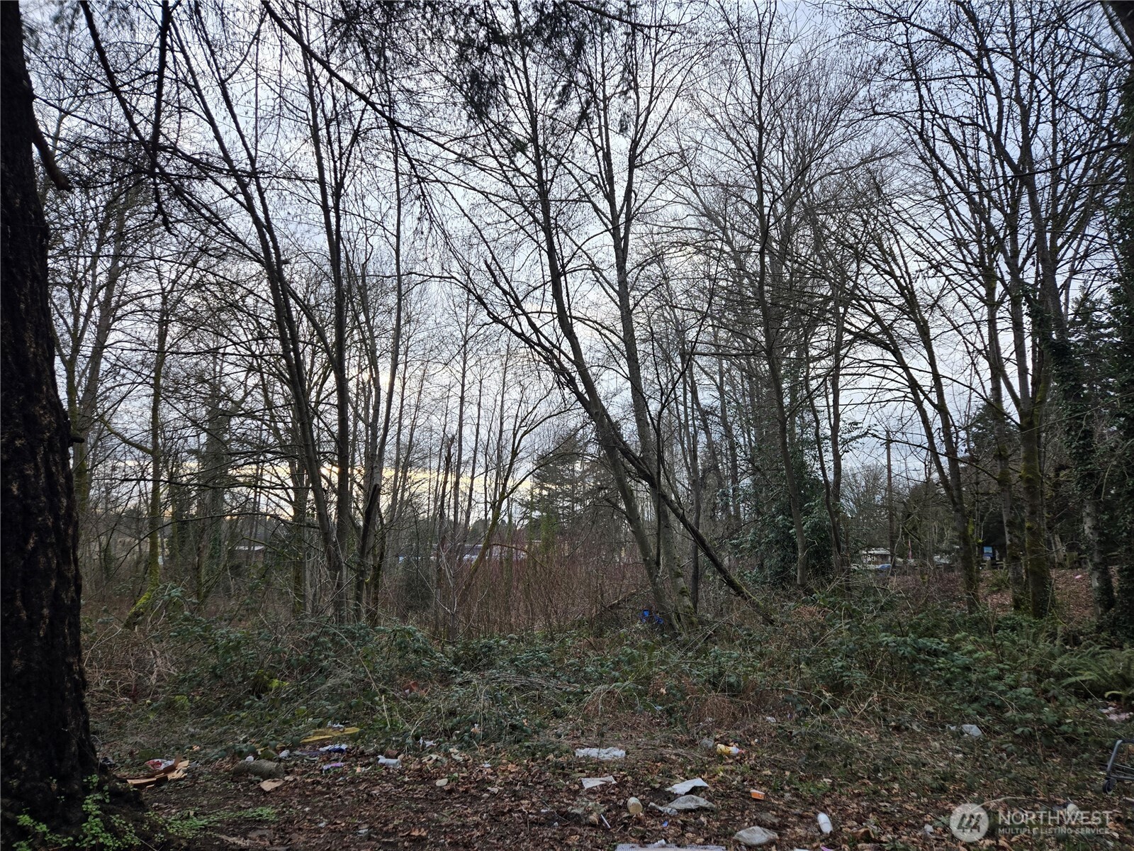 25 xxx S 260th Street , Kent, WA 98032