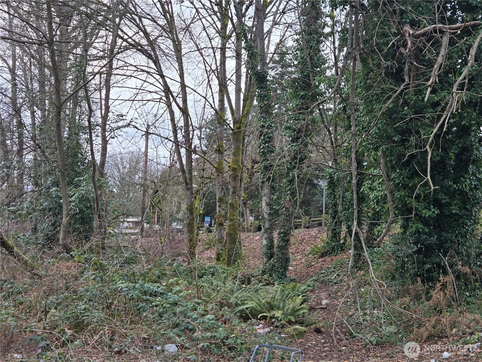 25 xxx S 260th Street , Kent, WA 98032