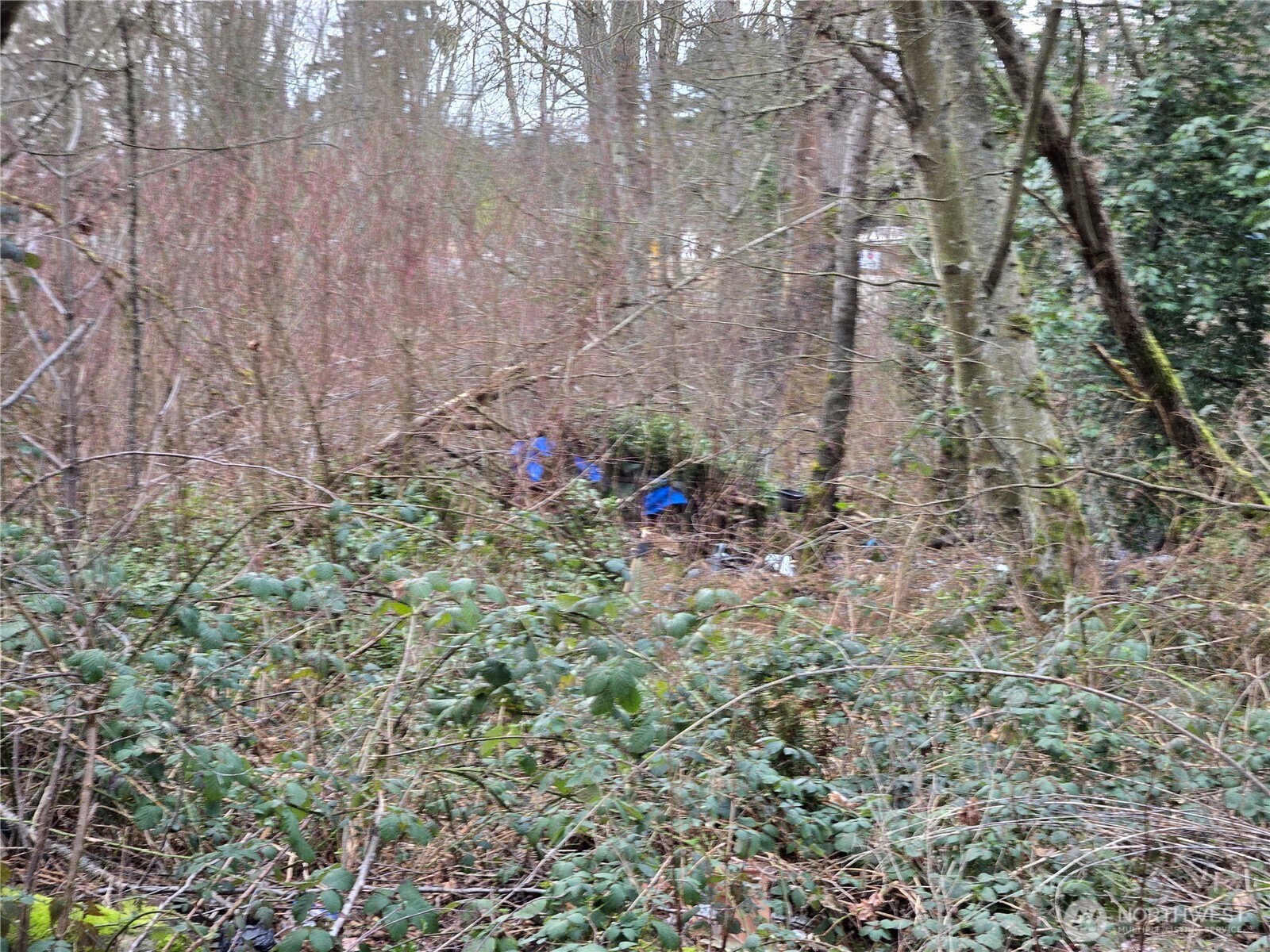 25 xxx S 260th Street , Kent, WA 98032