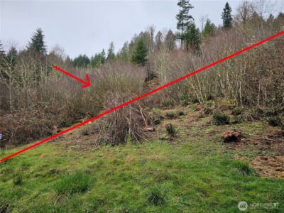 573 Clearwater Road , Kelso, WA 98626 - Photo 23