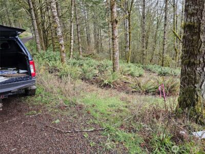 573 Clearwater Road , Kelso, WA 98626 - Photo 25