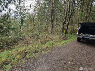 573 Clearwater Road , Kelso, WA 98626 - Photo 29