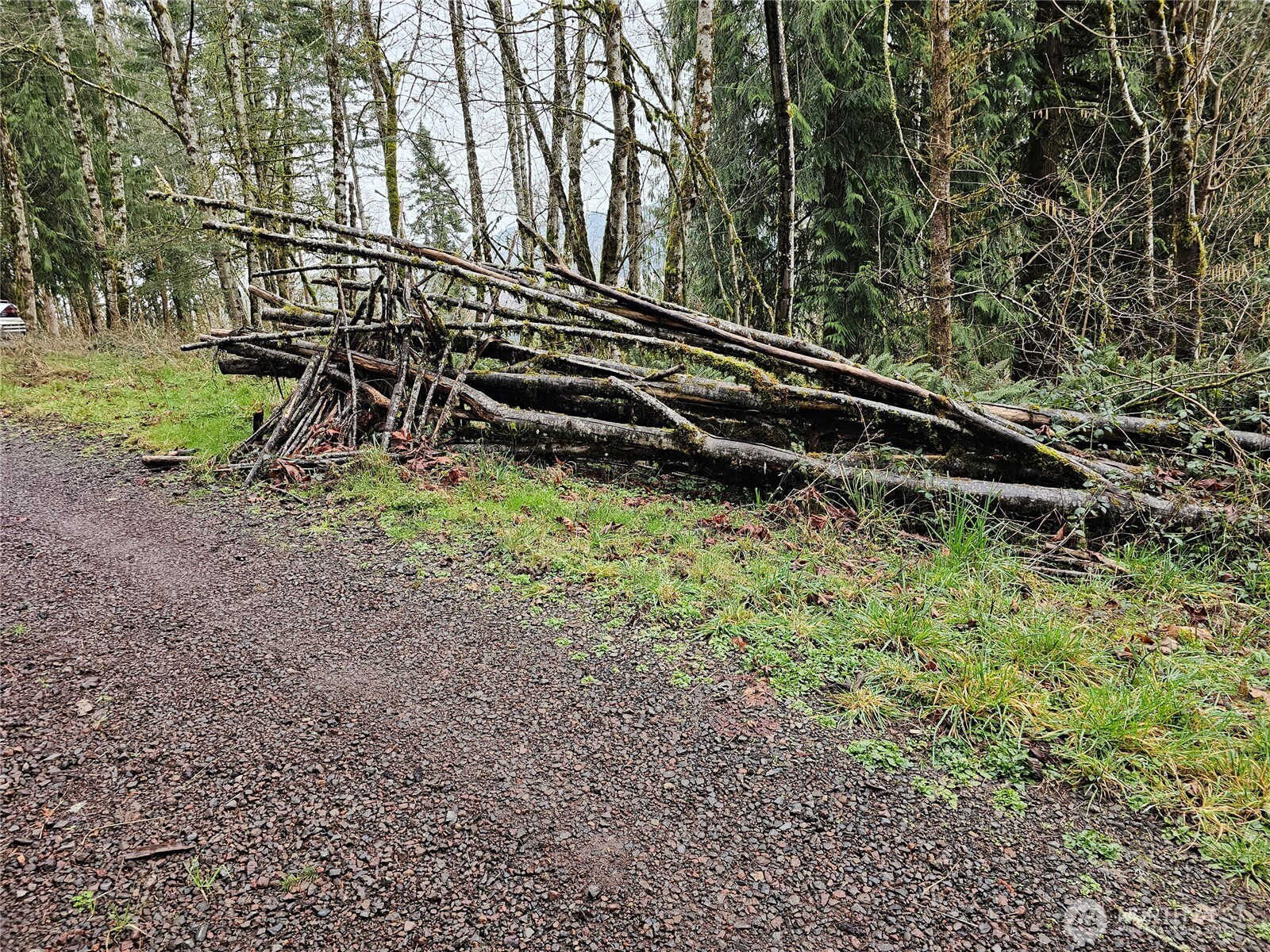 573 Clearwater Road , Kelso, WA 98626