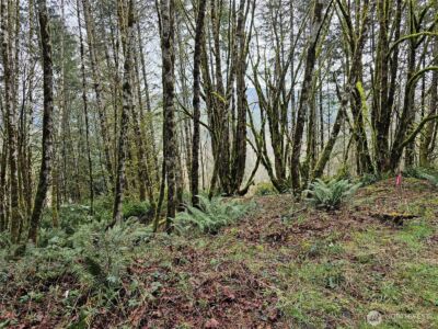 573 Clearwater Road , Kelso, WA 98626 - Photo 4