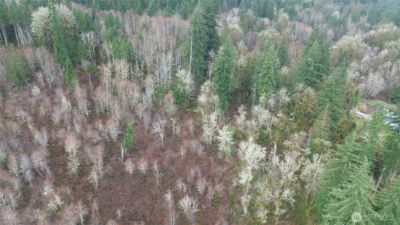 573 Clearwater Road , Kelso, WA 98626 - Photo 5