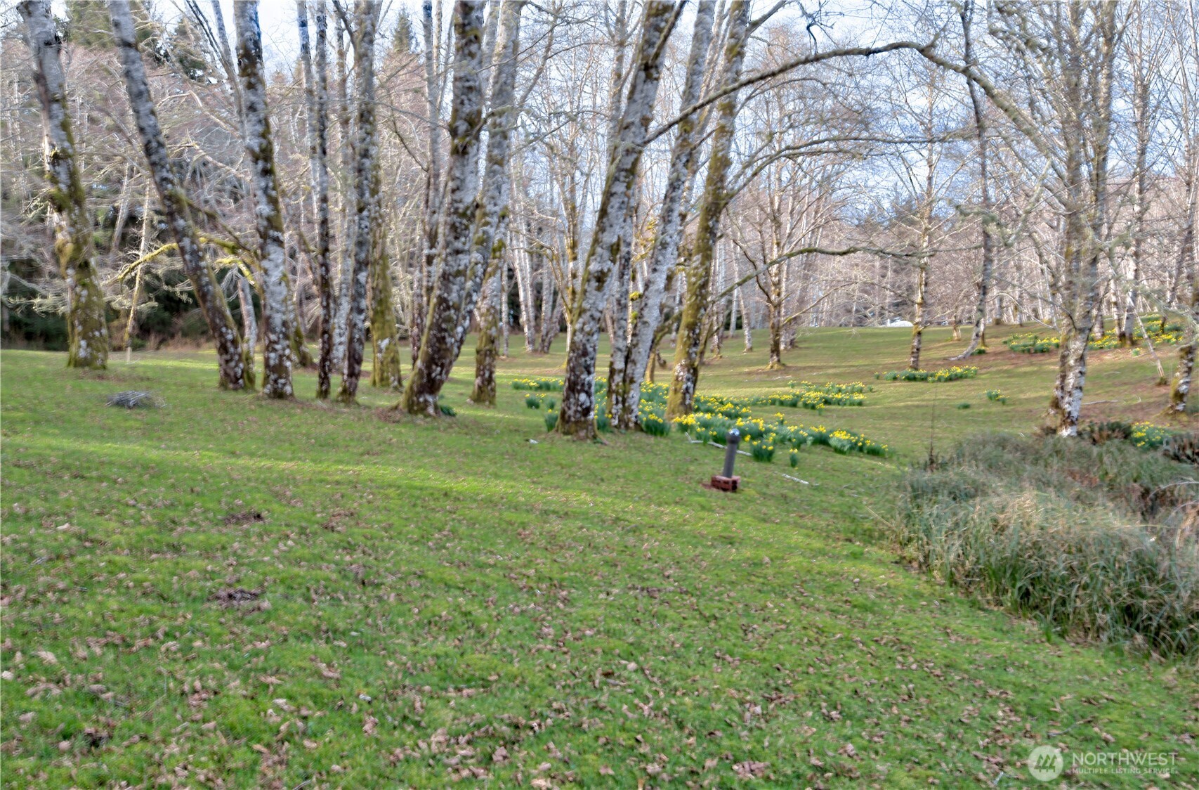 26 Lynn Point Lane , South Bend, WA 98586