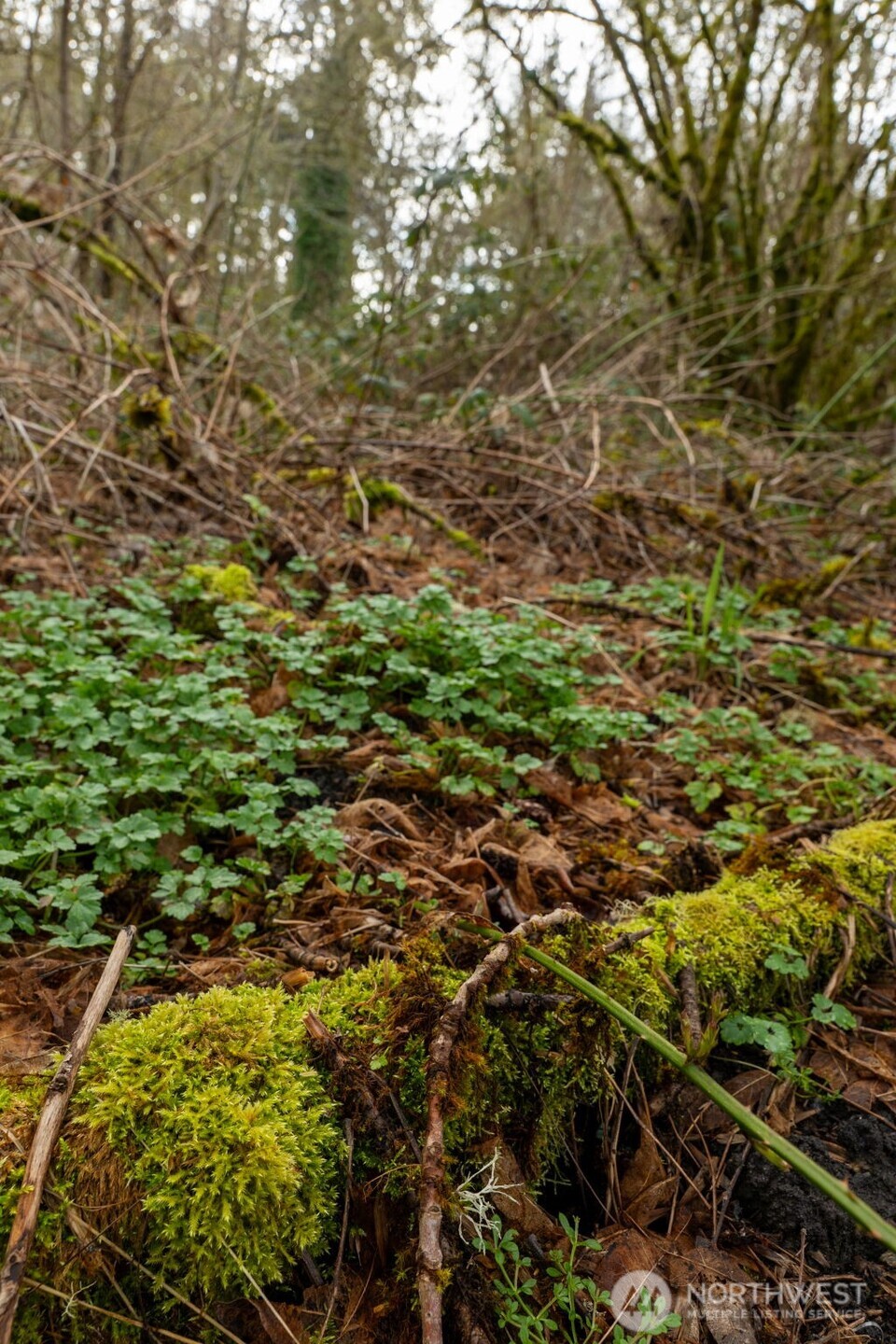 1502 121st Street E, Tacoma, WA 98445