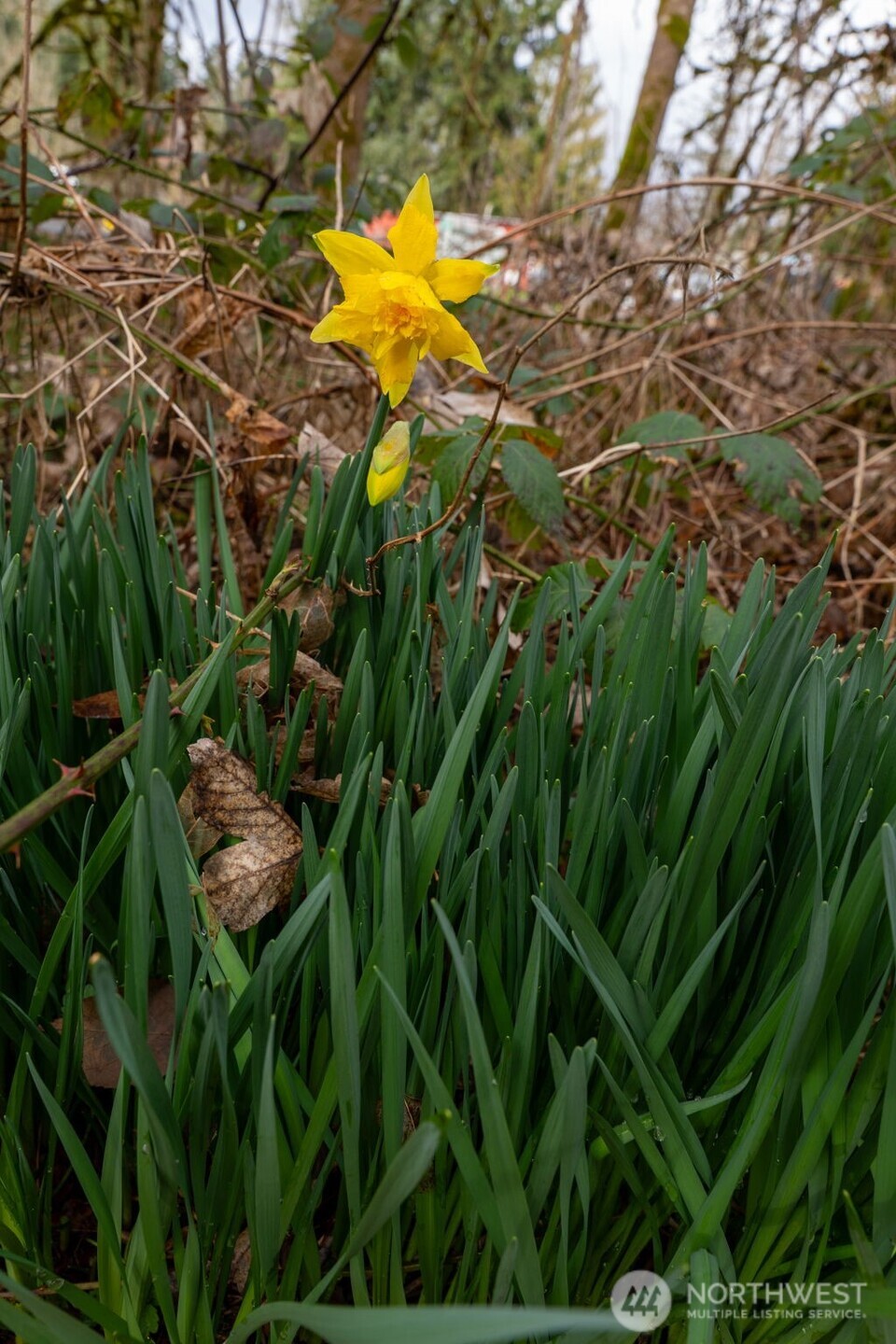 1502 121st Street E, Tacoma, WA 98445