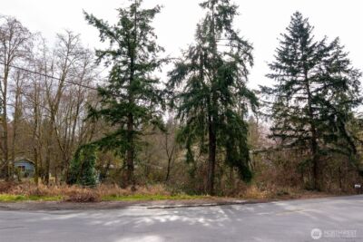 1502 121st Street E, Tacoma, WA 98445 - Photo 18