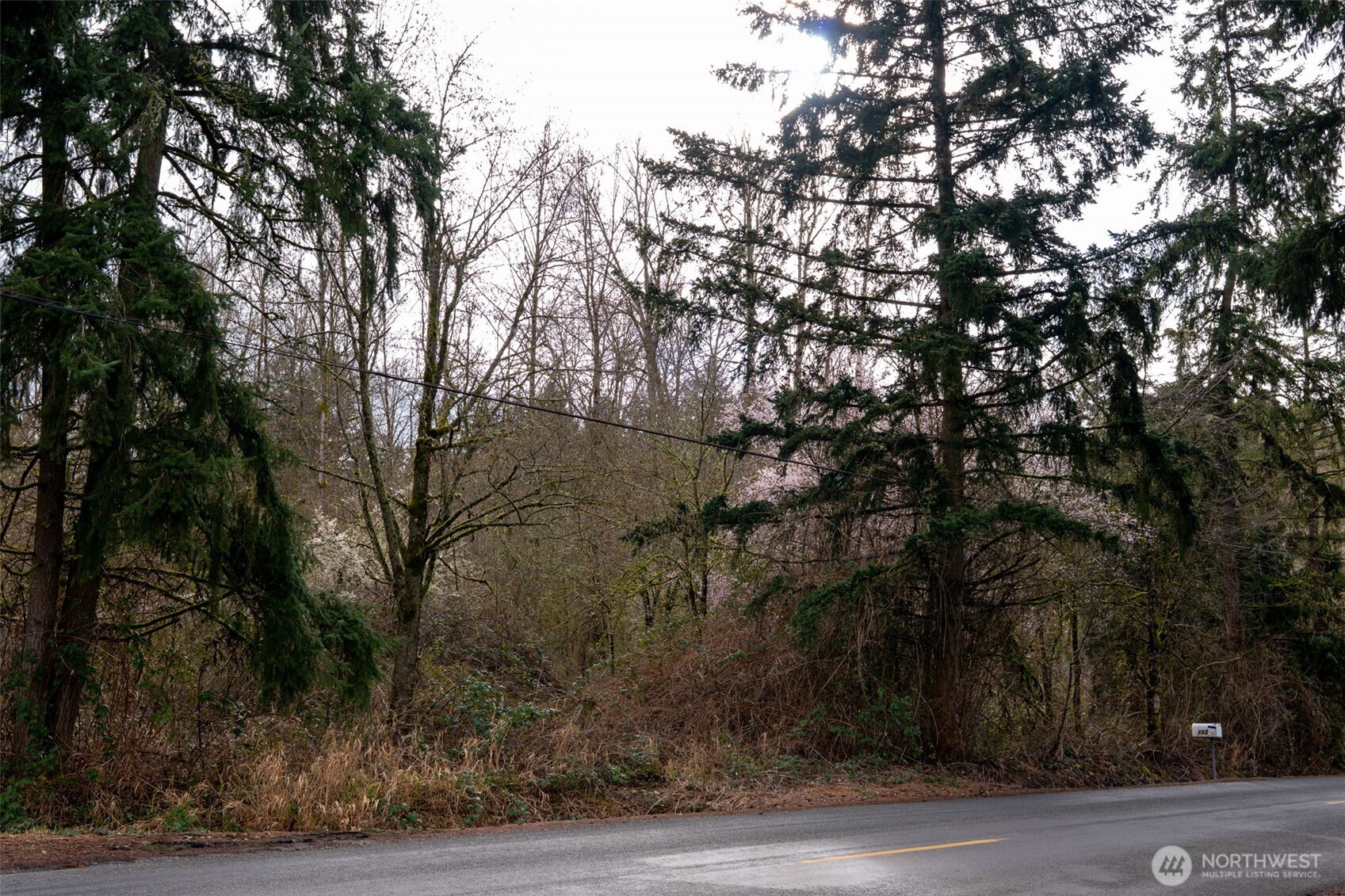 1502 121st Street E, Tacoma, WA 98445