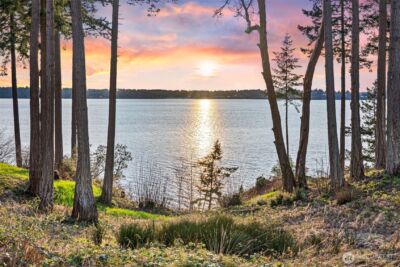 17510 88th Street SW, Longbranch, WA 98351 - Photo 36