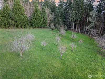 17510 88th Street SW, Longbranch, WA 98351 - Photo 38