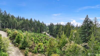 0 E Thornton Road , Shelton, WA 98584 - Photo 3