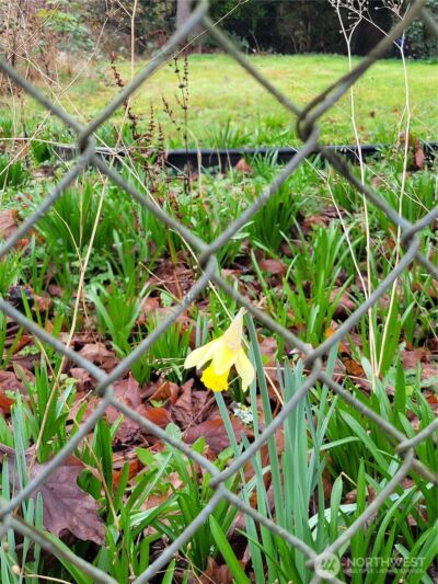 19424 Winesap Road , Bothell, WA 98012 - Photo 3