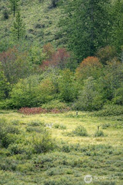 42 Beeman Road , Tonasket, WA 98855 - Photo 1