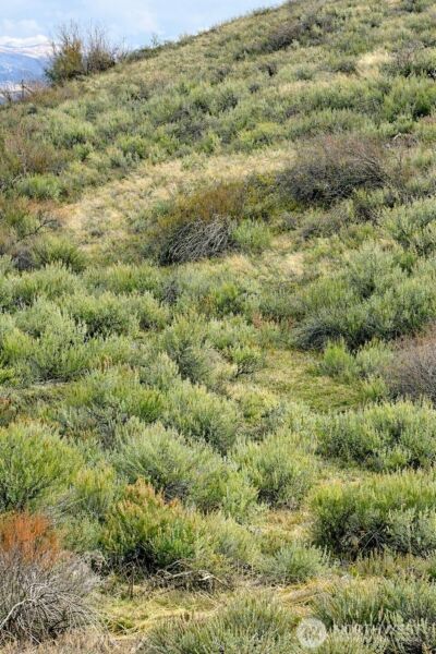 42 Beeman Road , Tonasket, WA 98855 - Photo 2