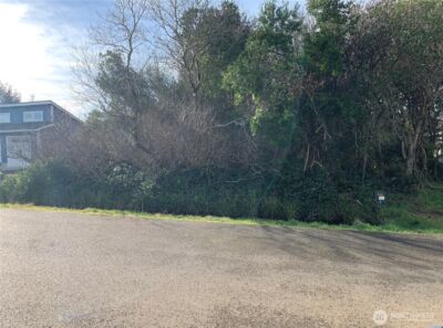 345 S Wynoochee Drive , Ocean Shores, WA 98569 - Photo 1