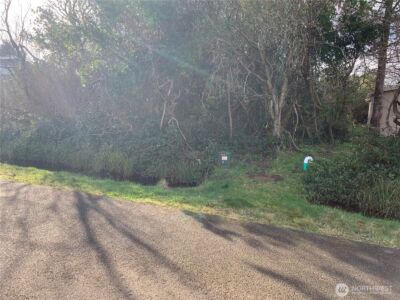 345 S Wynoochee Drive , Ocean Shores, WA 98569 - Photo 2