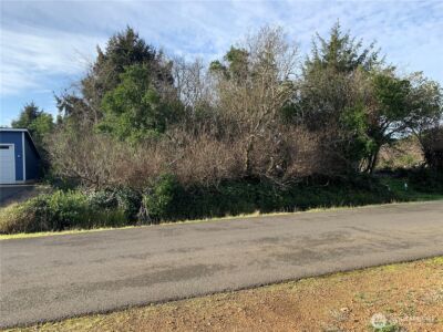 345 S Wynoochee Drive , Ocean Shores, WA 98569 - Photo 4