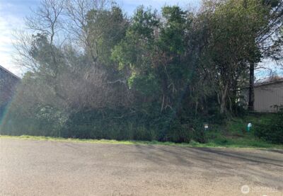 345 S Wynoochee Drive , Ocean Shores, WA 98569 - Photo 5