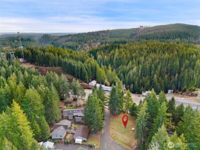 451 N Standstill Drive S, Hoodsport, WA 98548 - Photo 11