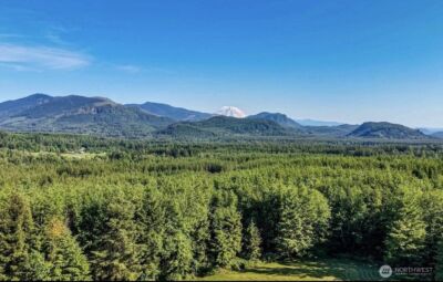 29208 327th Way SE, Ravensdale, WA 98051-8963 - Photo 39