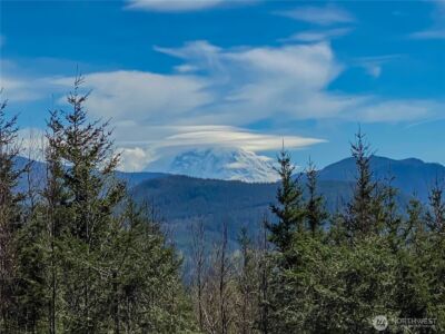29208 327th Way SE, Ravensdale, WA 98051-8963 - Photo 5