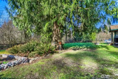 15828 234th Street SE, Snohomish, WA 98296 - Photo 27