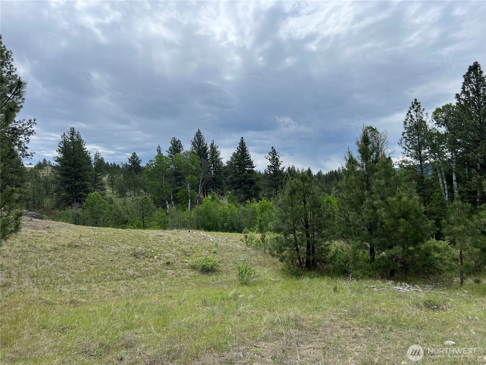 0 Wild Rose Lane , Tonasket, WA 98855