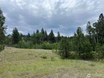 0 Wild Rose Lane , Tonasket, WA 98855 - Photo 12