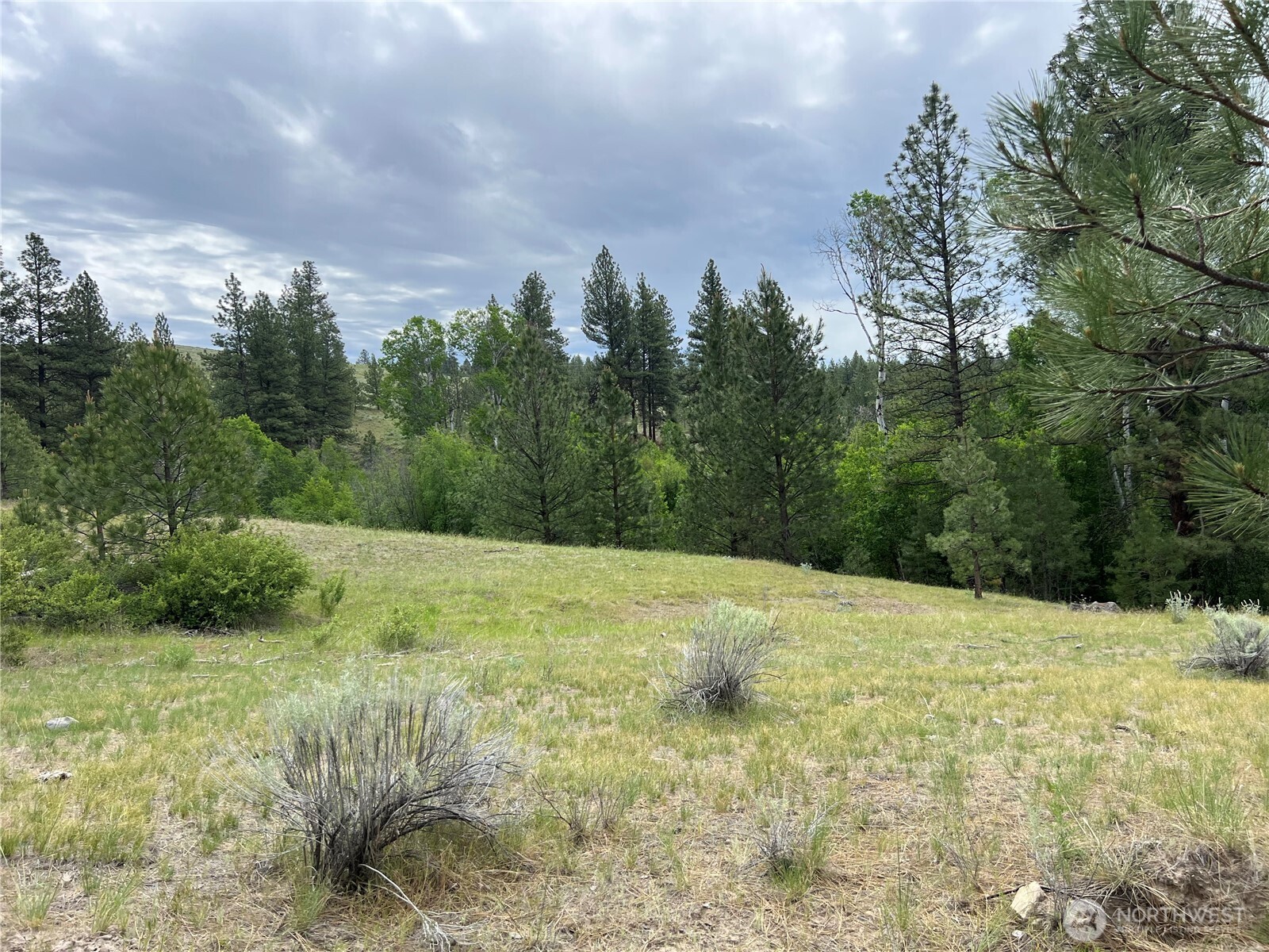 0 Wild Rose Lane , Tonasket, WA 98855