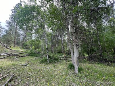 0 Wild Rose Lane , Tonasket, WA 98855 - Photo 16