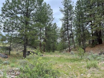 0 Wild Rose Lane , Tonasket, WA 98855 - Photo 17