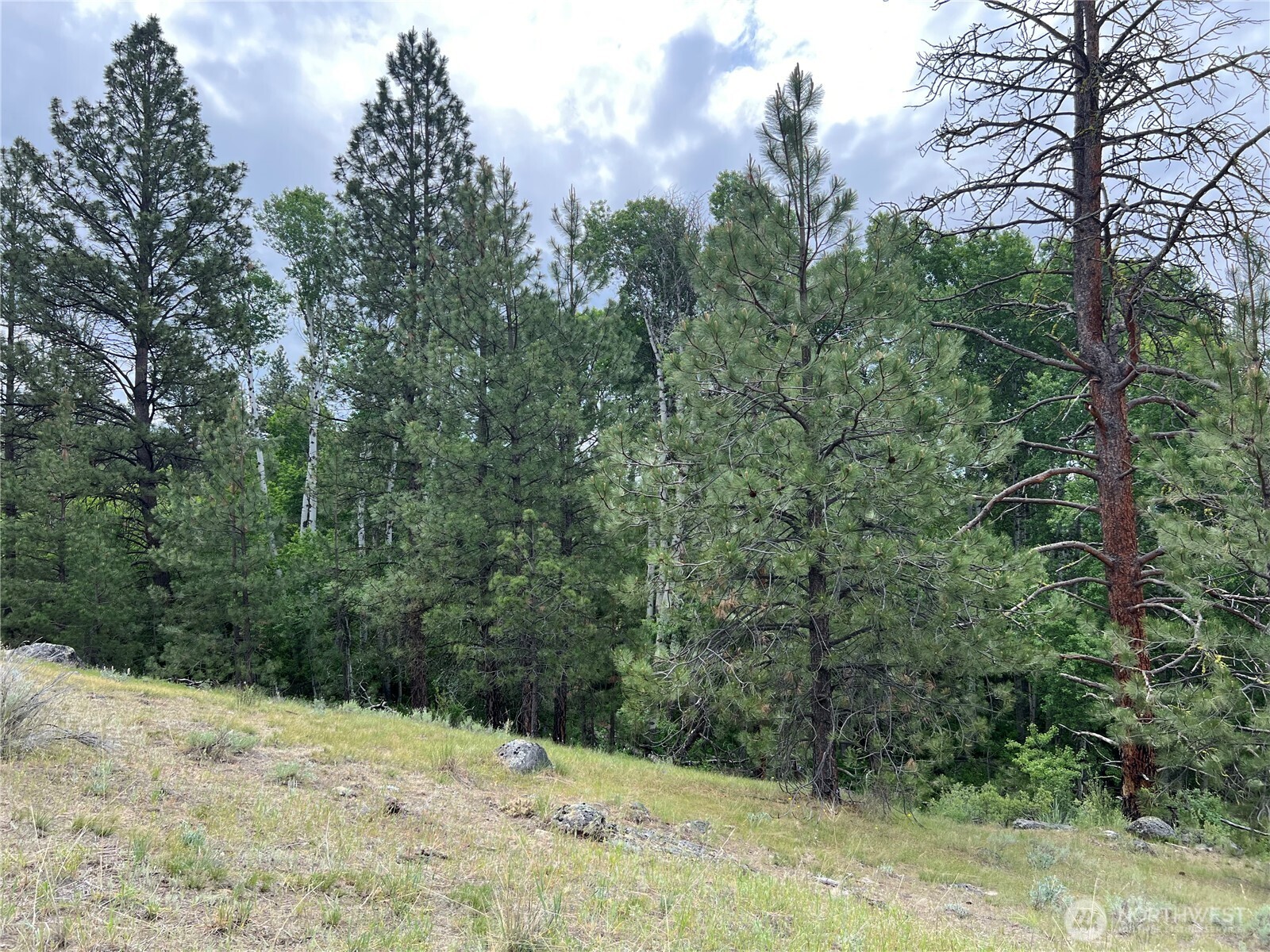 0 Wild Rose Lane , Tonasket, WA 98855