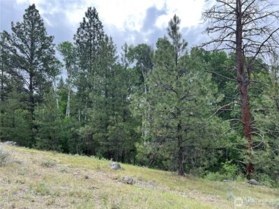 0 Wild Rose Lane , Tonasket, WA 98855 - Photo 18