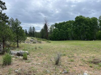 0 Wild Rose Lane , Tonasket, WA 98855 - Photo 19