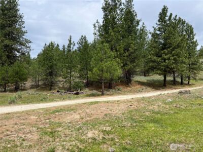 0 Wild Rose Lane , Tonasket, WA 98855 - Photo 20