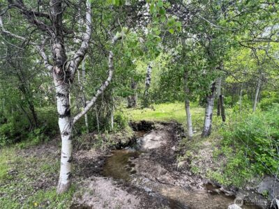 0 Wild Rose Lane , Tonasket, WA 98855 - Photo 2