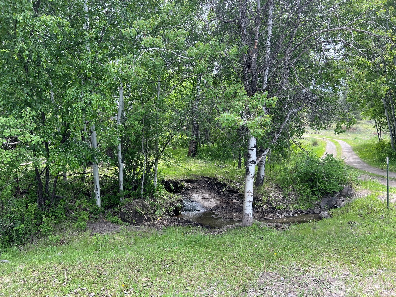 0 Wild Rose Lane , Tonasket, WA 98855