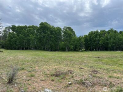 0 Wild Rose Lane , Tonasket, WA 98855 - Photo 22