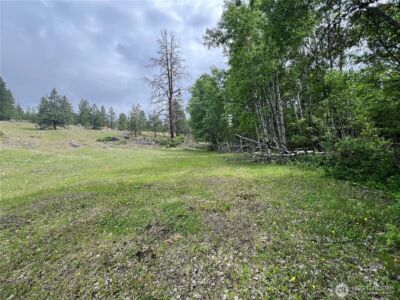 0 Wild Rose Lane , Tonasket, WA 98855 - Photo 23