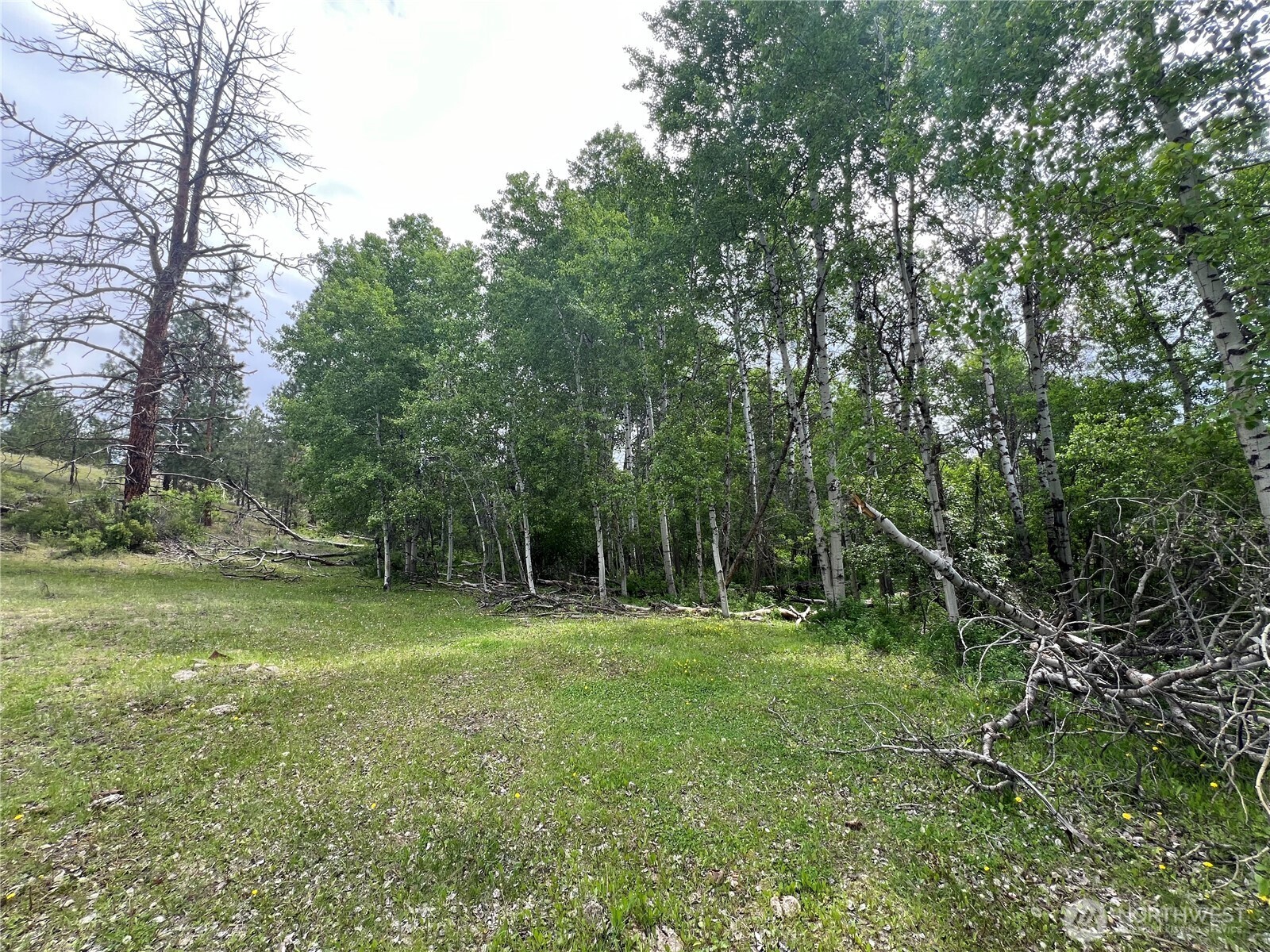 0 Wild Rose Lane , Tonasket, WA 98855