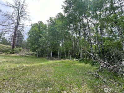 0 Wild Rose Lane , Tonasket, WA 98855 - Photo 25